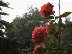 [ 진 솔 찬 / 19 ]