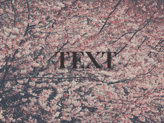 [후루사와] 벚꽃나들이