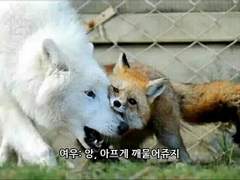 Bite Blood Horror research club :BBH research club 06