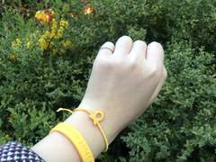 노란 마녀 이야기