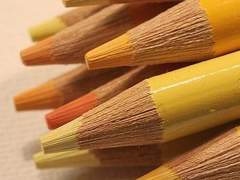 [진총] 개나리 노란 꽃그늘 아래 1