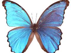 가면:페르소나(2)