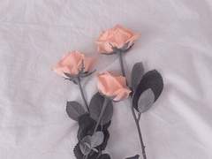 시간이 흘러도.