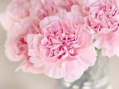 첫 만남은 언제나 간결했다.