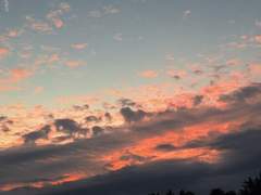 구름 - 외전 (마지막)