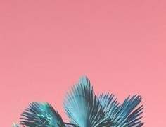 제55회 순부전력: Be Hooked