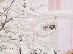 모든 것에는 첫 번째가 있기 마련