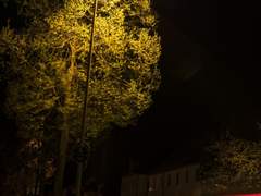 슬기로운 레즈생활