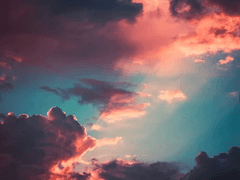 [망기무선] 運夢(운몽)