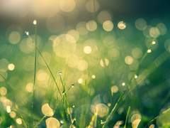 그 여름의 소년에게