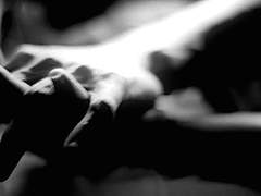 [스토리텔러][세종] 새 장 下