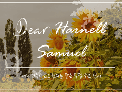 하나에게 보내는 편지