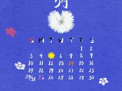 5월달력