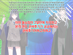 에스디어 관통후기