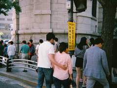 일회용 카메라 사진들