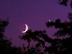 프레이야. A.아멜리아