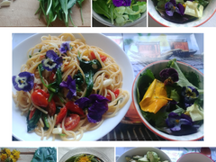 Restaurant RAINBOW 4.