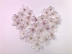 여름으로 향하는 길목