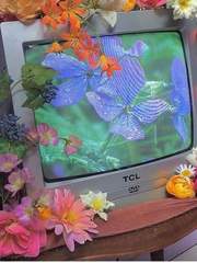 너의 얼굴에 나의 얼굴을 묻고