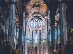 안식(安息) - 늑대인간 샹크스 X 뱀파이어 미호크