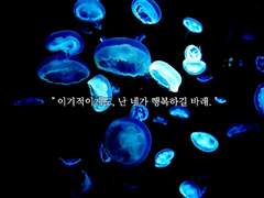 율리시스 칼리지오 벤터스/25세/남