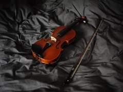 009. 바이올린 등등