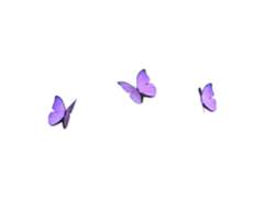 | Poison _ : 01 빠져들다