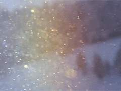 [앤캐 질문 양식]