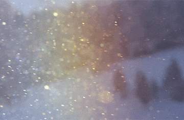 [앤캐 질문 양식]