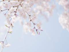 [앙투여휘] 다가오는 여름을 위하여