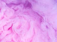 벚꽃, 그리고 사진.