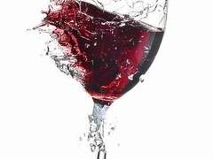 [드레이코] 신탁의 주인