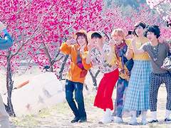 Alert (복숭아꽃 필 무렵)