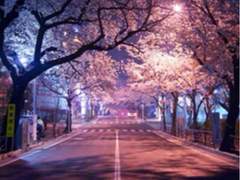 함께 발을 맞춰 거닐던 :14