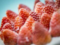 Happy birthday, Sebastian.