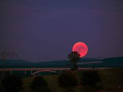 영리하게, 간결하게, 우아하게, 완벽하게