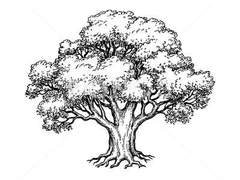 [뷔진] 임의 일훔은 02