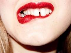 고양이발바닥 여덟(바람과 앞니)