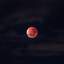 🌙
