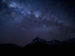 이 편지를 읽게 될 누군가에게.