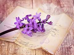 앗, 이 곳에 마침 읽어보면 좋을 종이가!