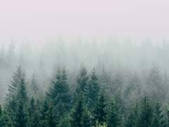 [회상의 이름] 01