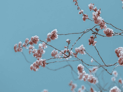 [다이스가] 연인이란 이름 아래