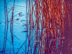 화원이 아닌 화원 속에서