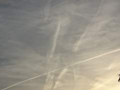 비행운, 돌아올 회(回)