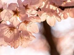 Game: 어둠을 등지고서