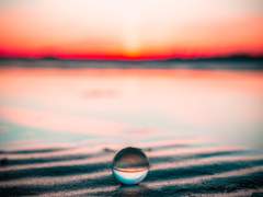 너를 그리며, 낙화(洛花)