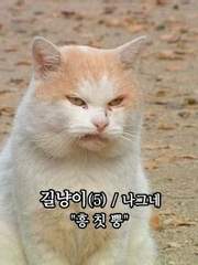 그리다 만 것들