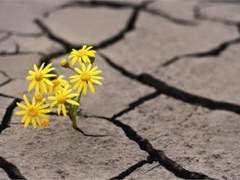 [면숮면] Va,Va,Vis.