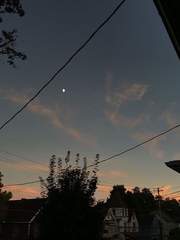 ㅣ옴니버스ㅣ하이큐